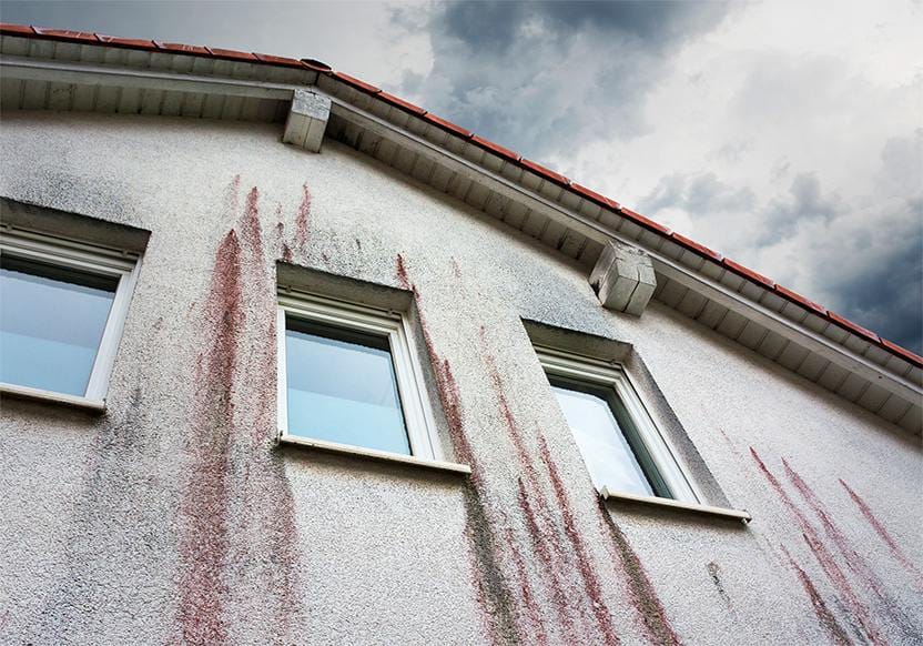 Pelėsis ir drėgmės dėmės ant tinkuoto fasado – drėgmės valdymo problema
